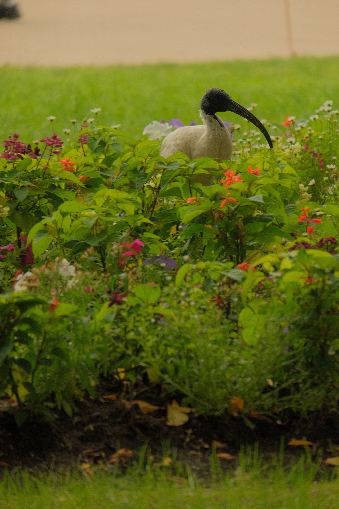 Faces of the City: Portrait Psychology